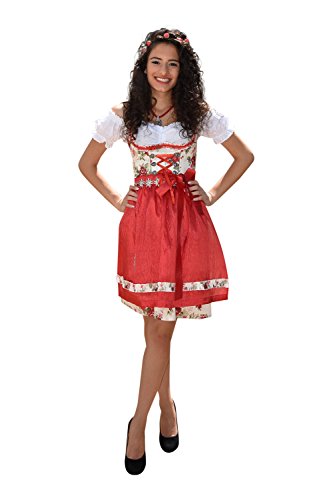 Dirndl Set Trachtenkleid 484GT Rot geblümt 34